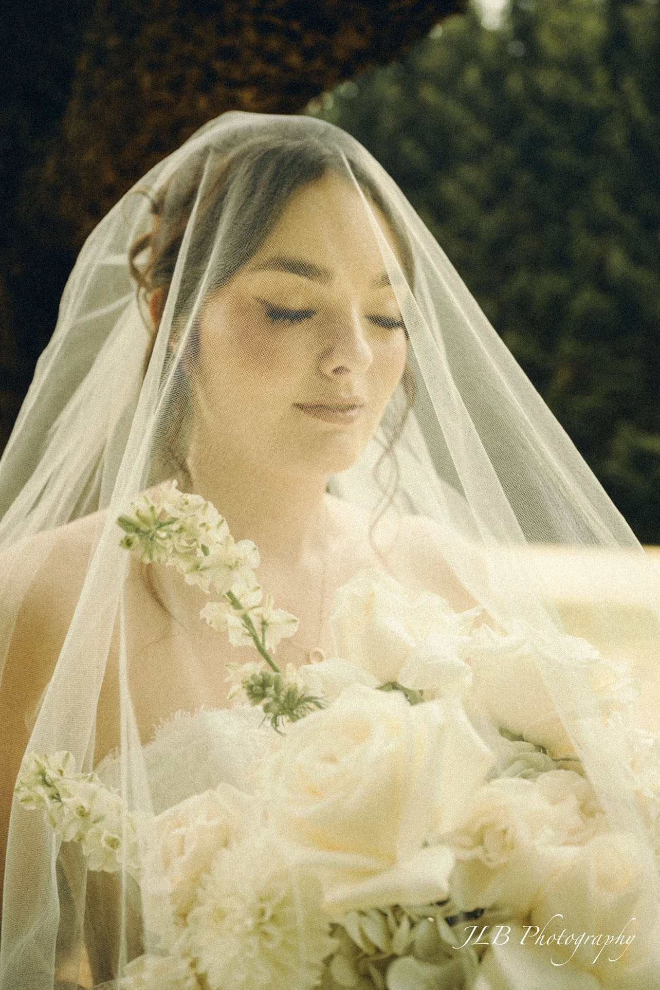 Bride under a veil
